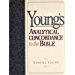 Image for Young's Analytical Concordance to the Bible