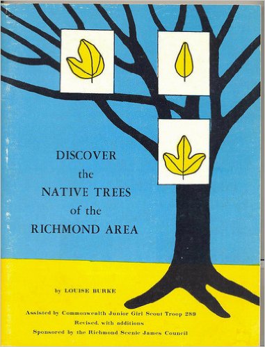 Image for Discover the Native Trees of the Richmond Area