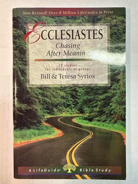 Ecclesiastes: Chasing After Meaning (LifeGuide Bible Studies)