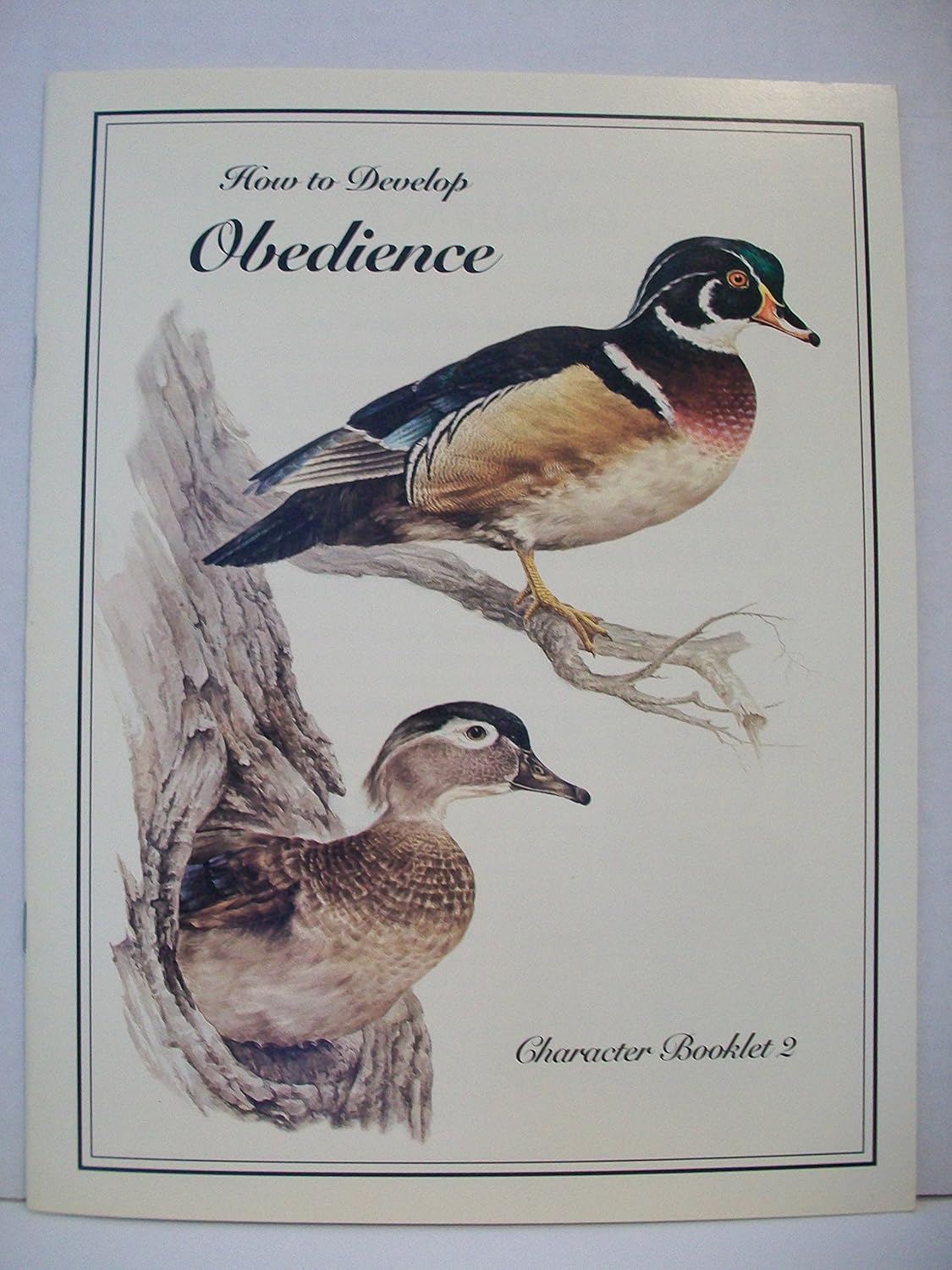 How To Develop Obedience (Character Booklet 2)
