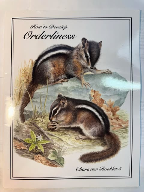 How to Develop Orderliness (Character Booklet 5)