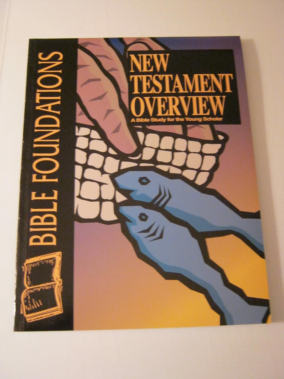 New Testament Overview: A Bible Study for the Young Scholar (Bible Foundations Series)