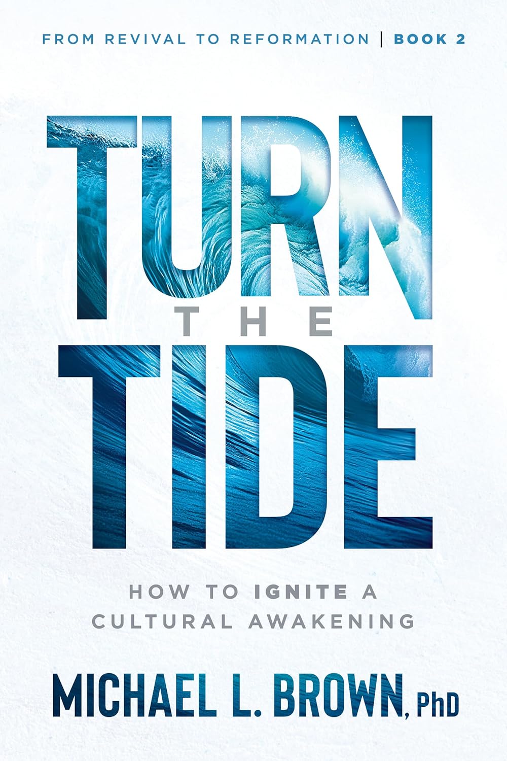 Turn the Tide: How to Ignite a Cultural Awakening (From Revival to Reformation) (Book 2)