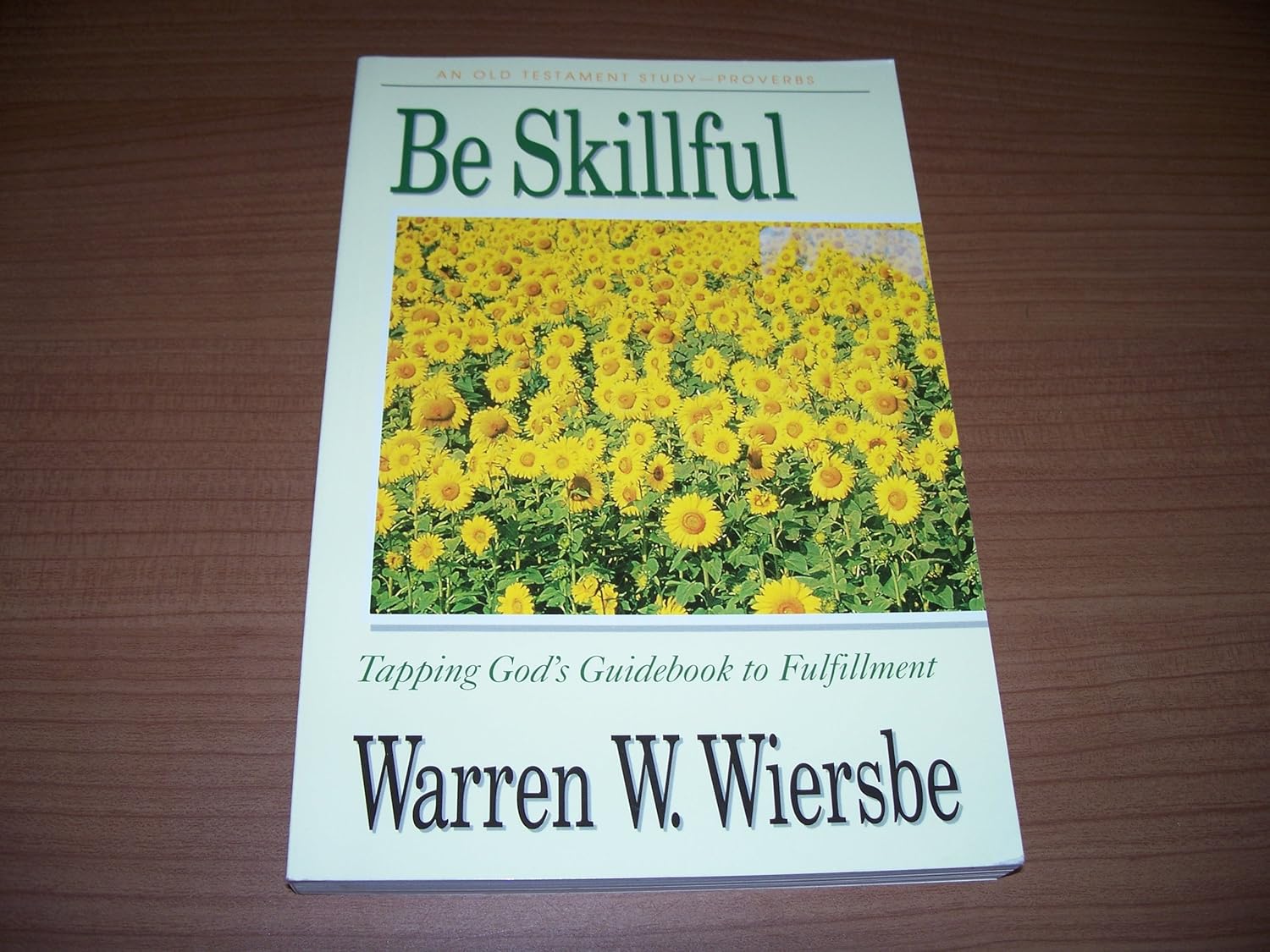 Be Skillful (Proverbs): Tapping God's Guidebook to Fulfillment
