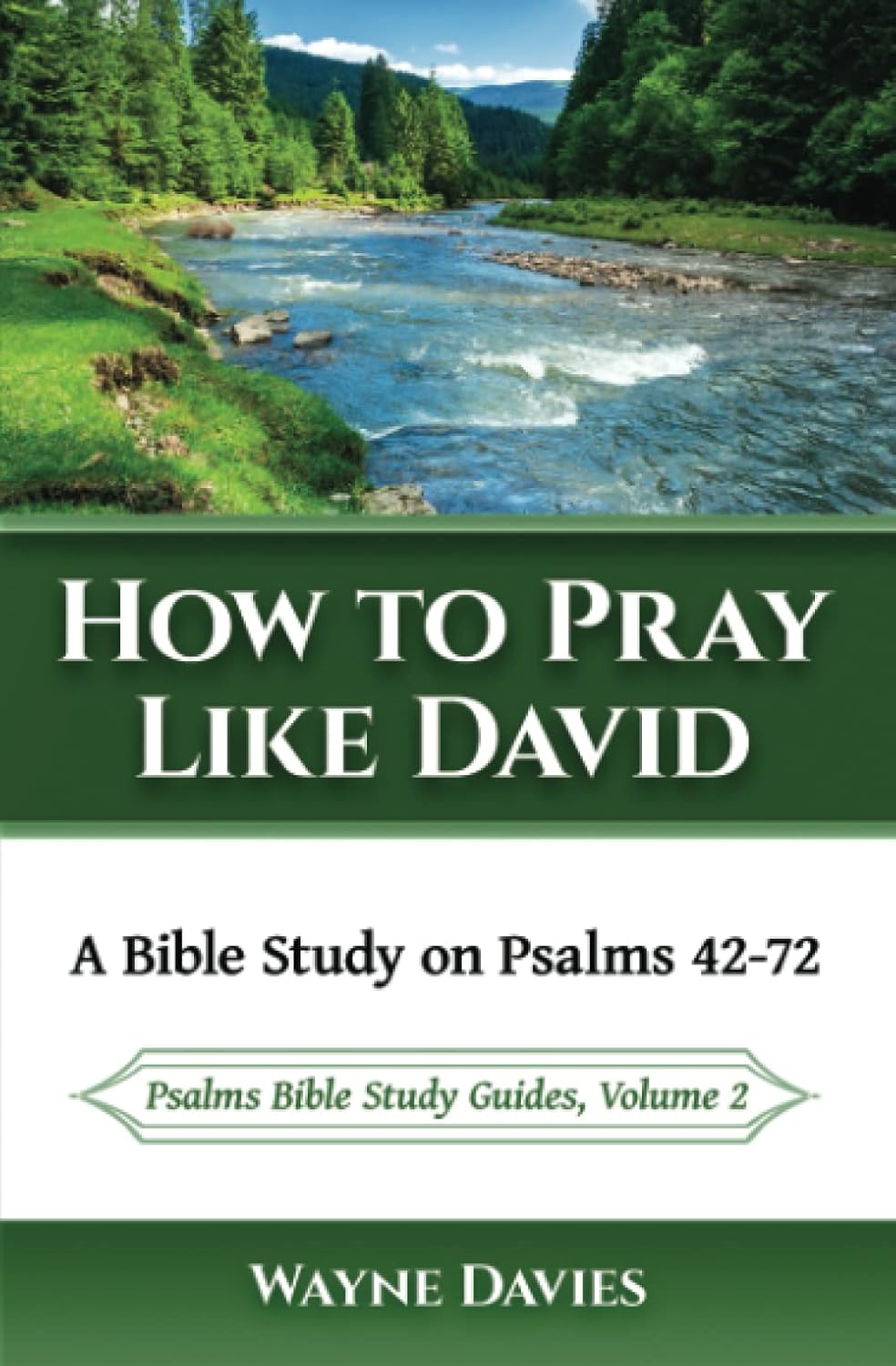 How to Pray Like David: A Bible Study on Psalms 42-72 (Psalms Bible Study Guides)