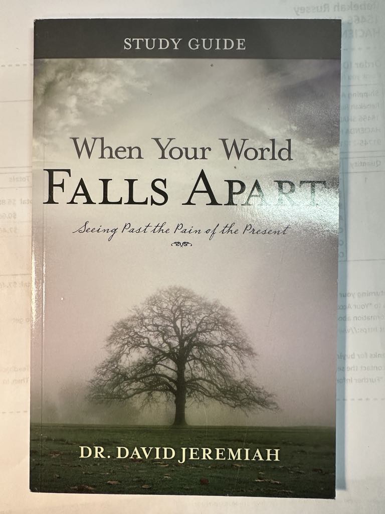 When Your World Falls Apart: Seeing Past the Pain of the Present (Study Guide)