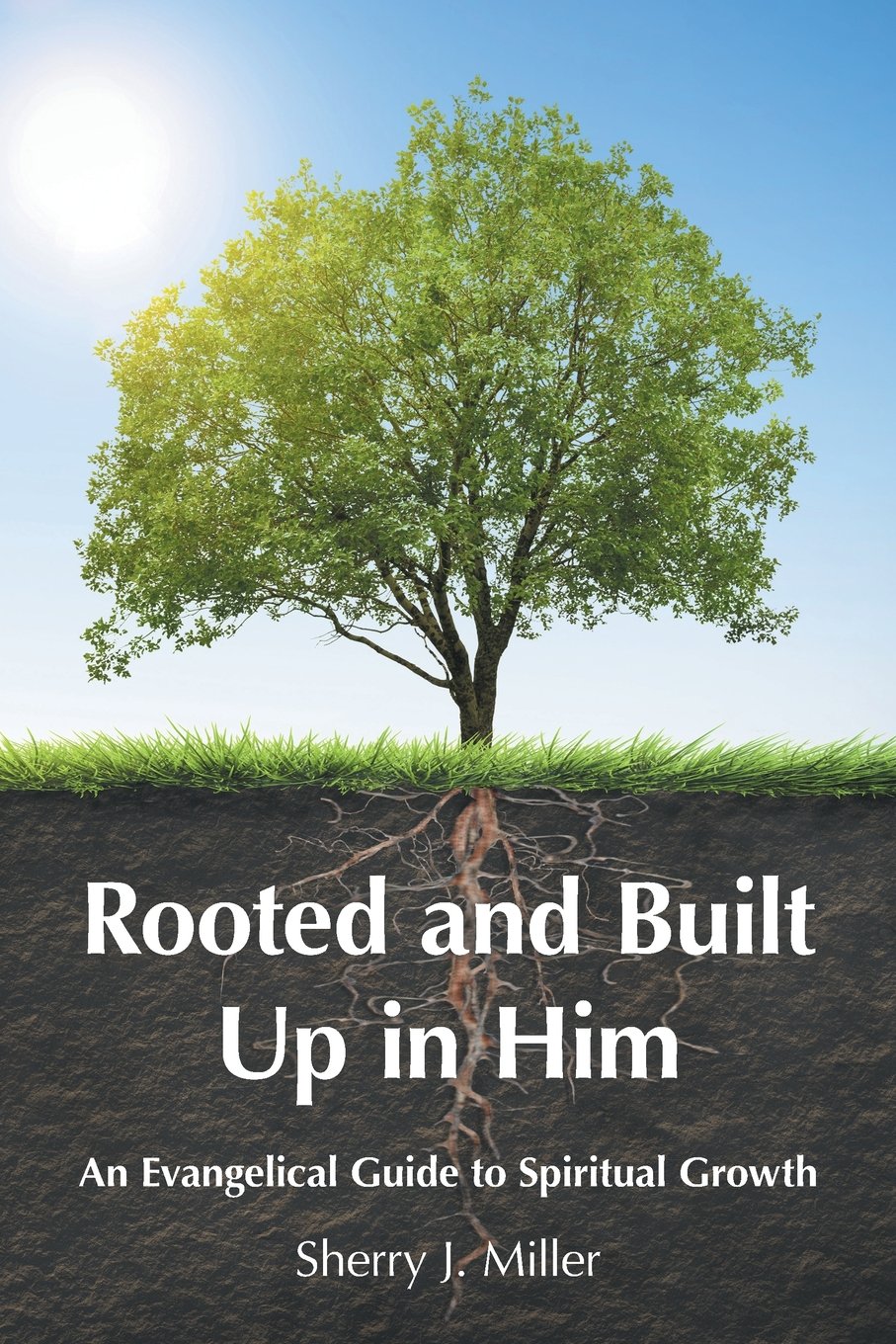 Rooted and Built Up in Him