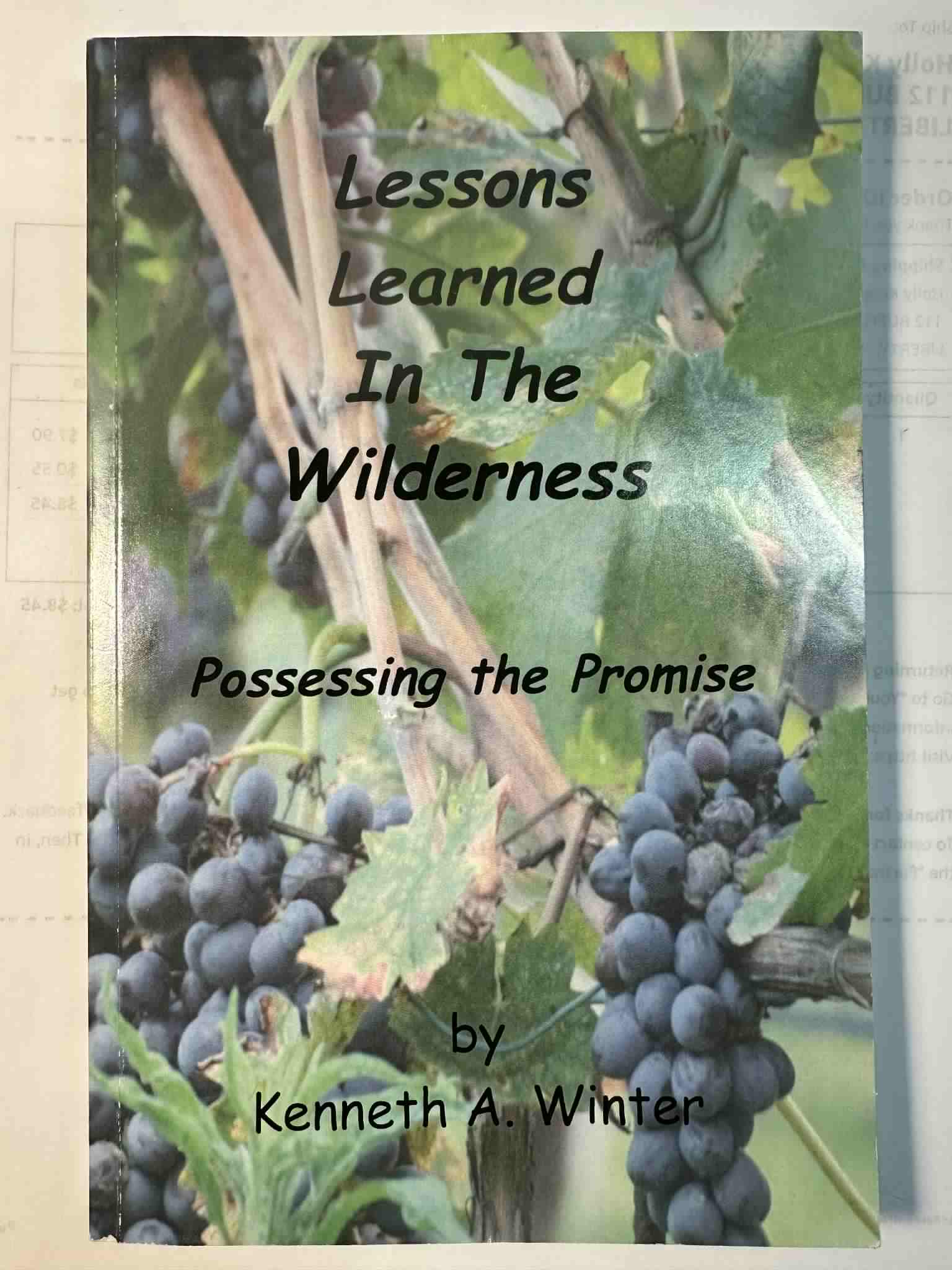 Lessons Learned In The Wilderness: Possessing the Promise