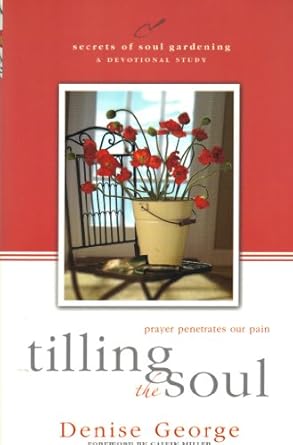 Tilling the Soul: Prayer Penetrates Our Pain (Secrets of Soul Gardening)