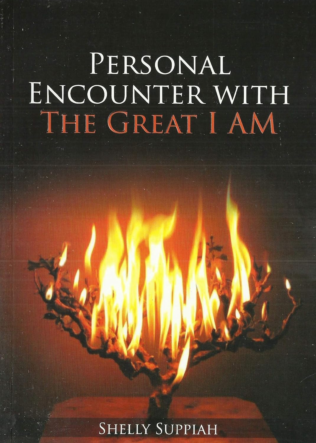 Personal Encounter with the Great I Am