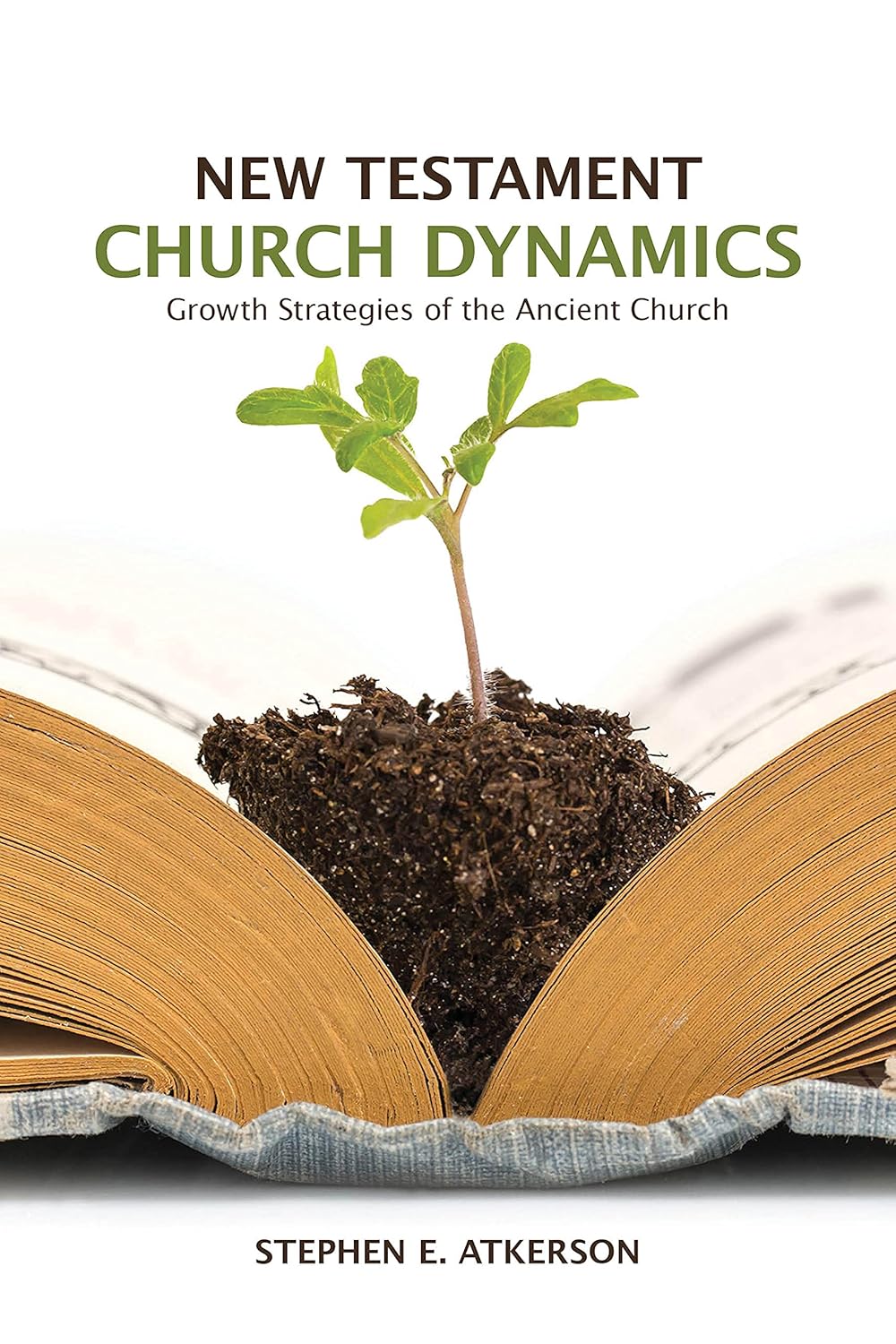 New Testament Church Dynamics: A Leader's Guide To Biblical Growth & Planting
