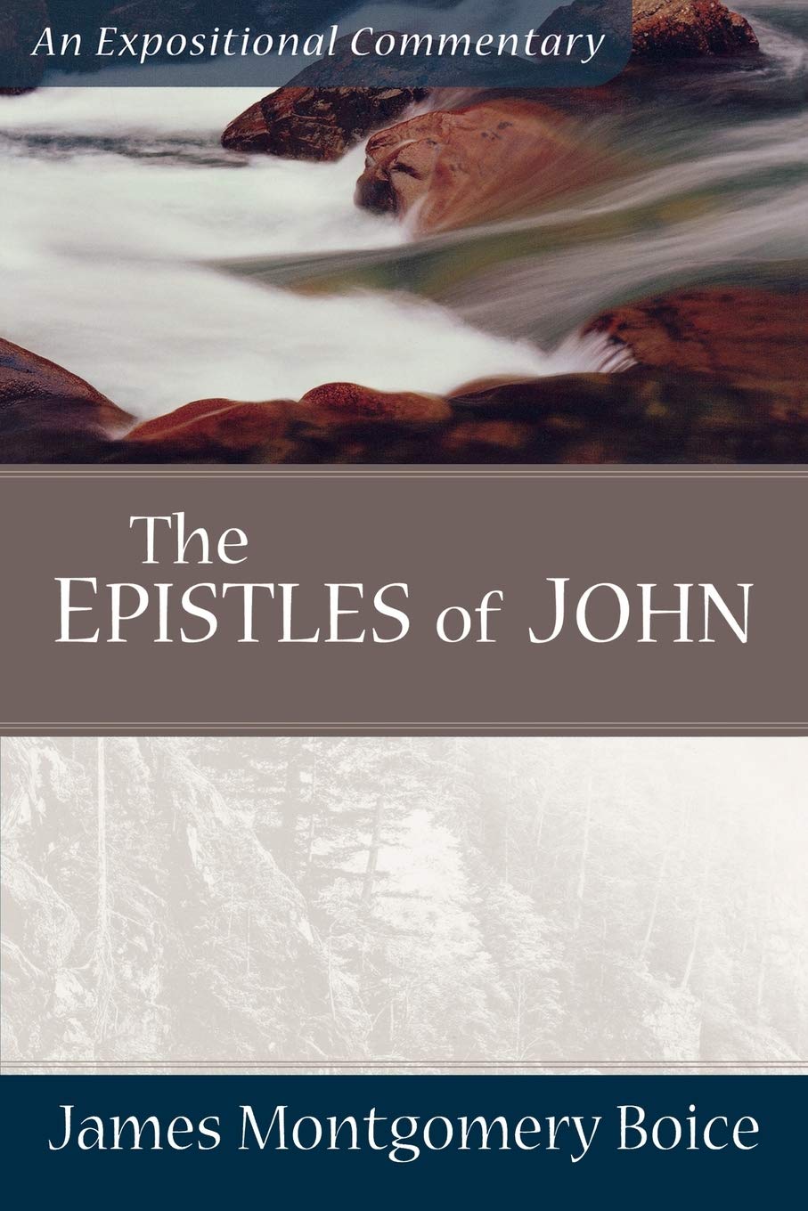 The Epistles of John (Expositional Commentary)