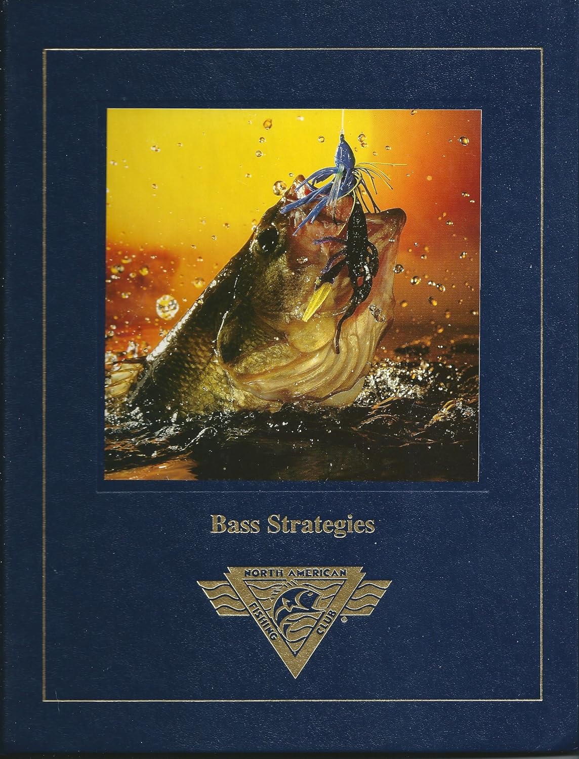 Bass Strategies