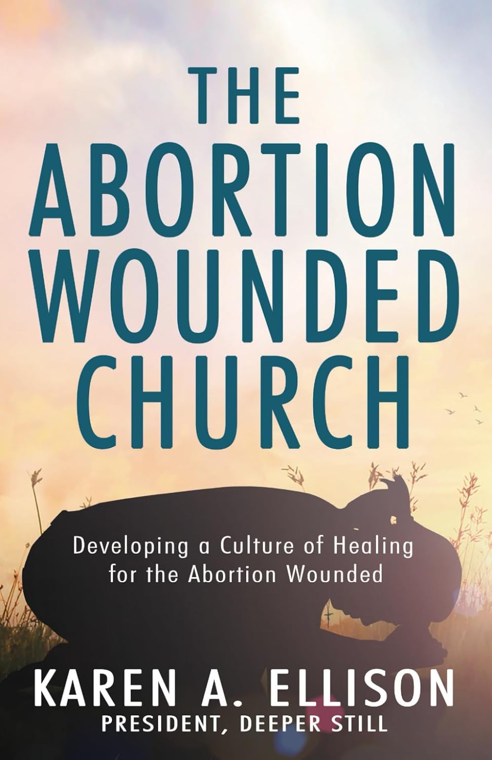 The Abortion Wounded Church: Developing a Culture of Healing for the Abortion Wounded