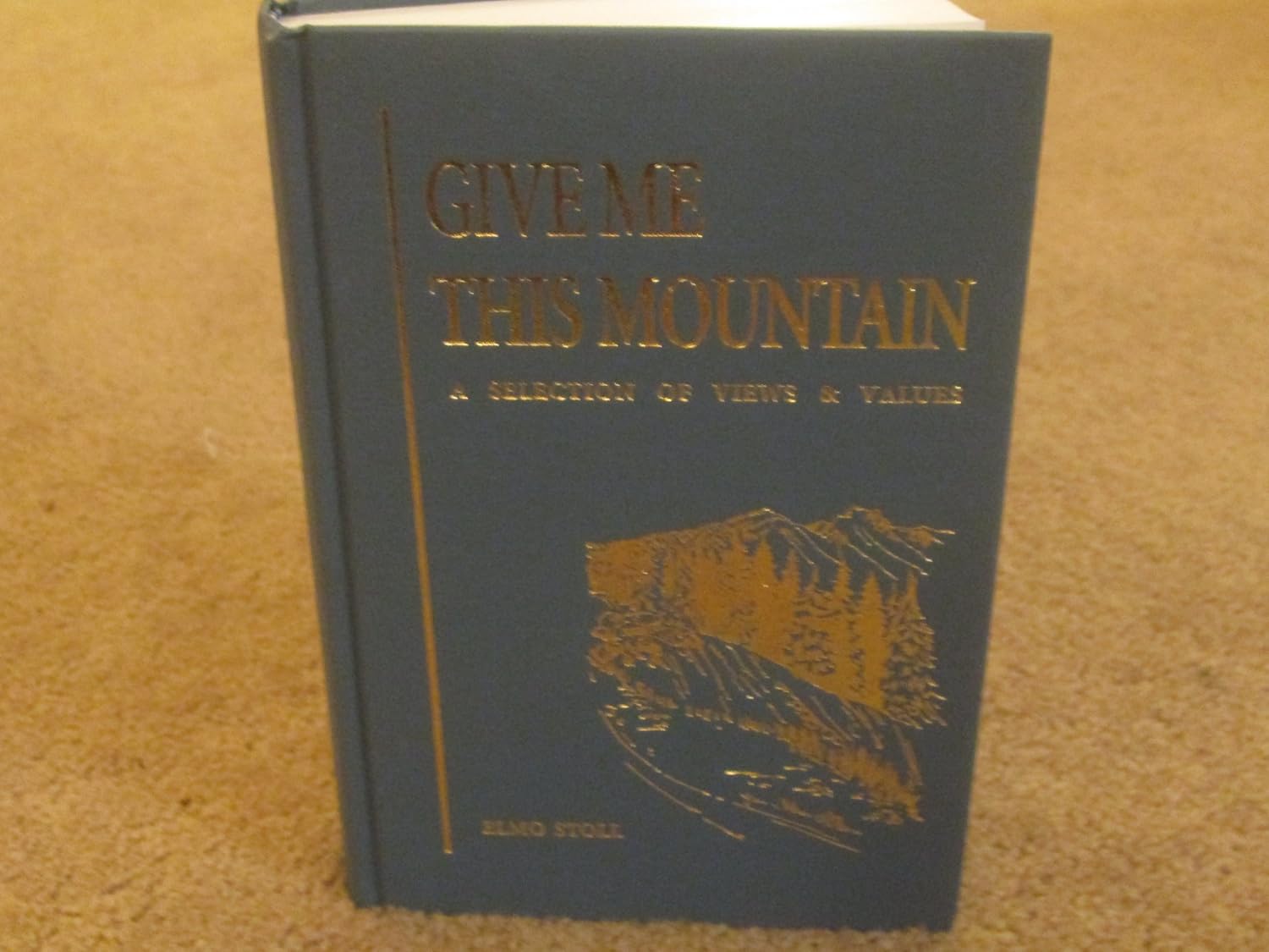 Give Me This Mountain: A Selection of Views & Values