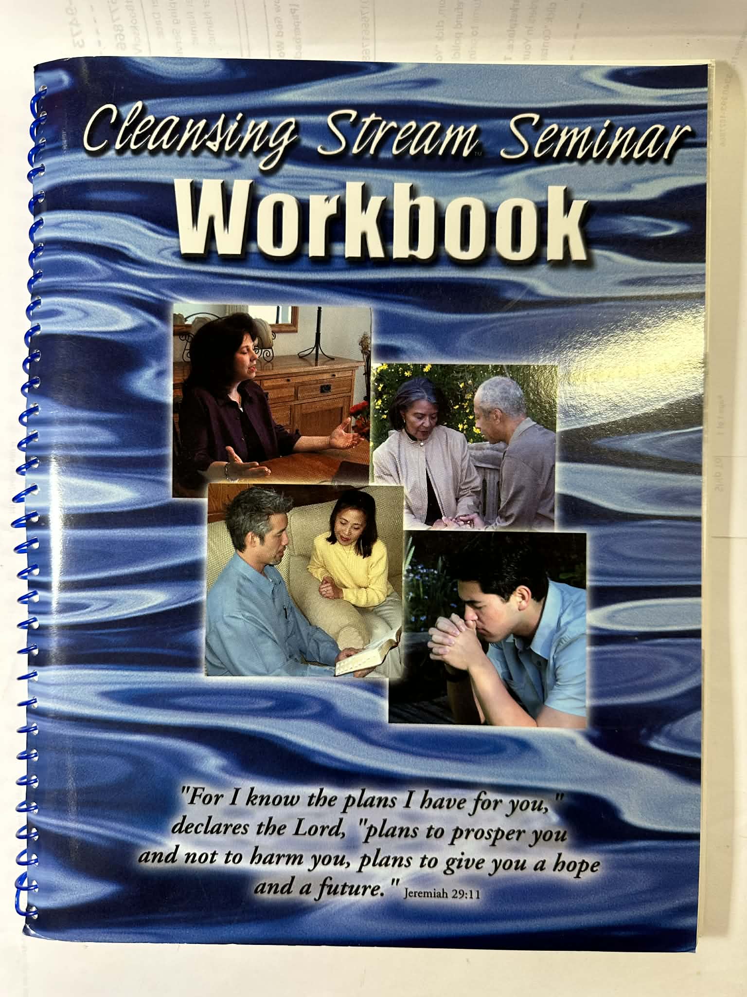 Cleansing Stream Seminar Workbook