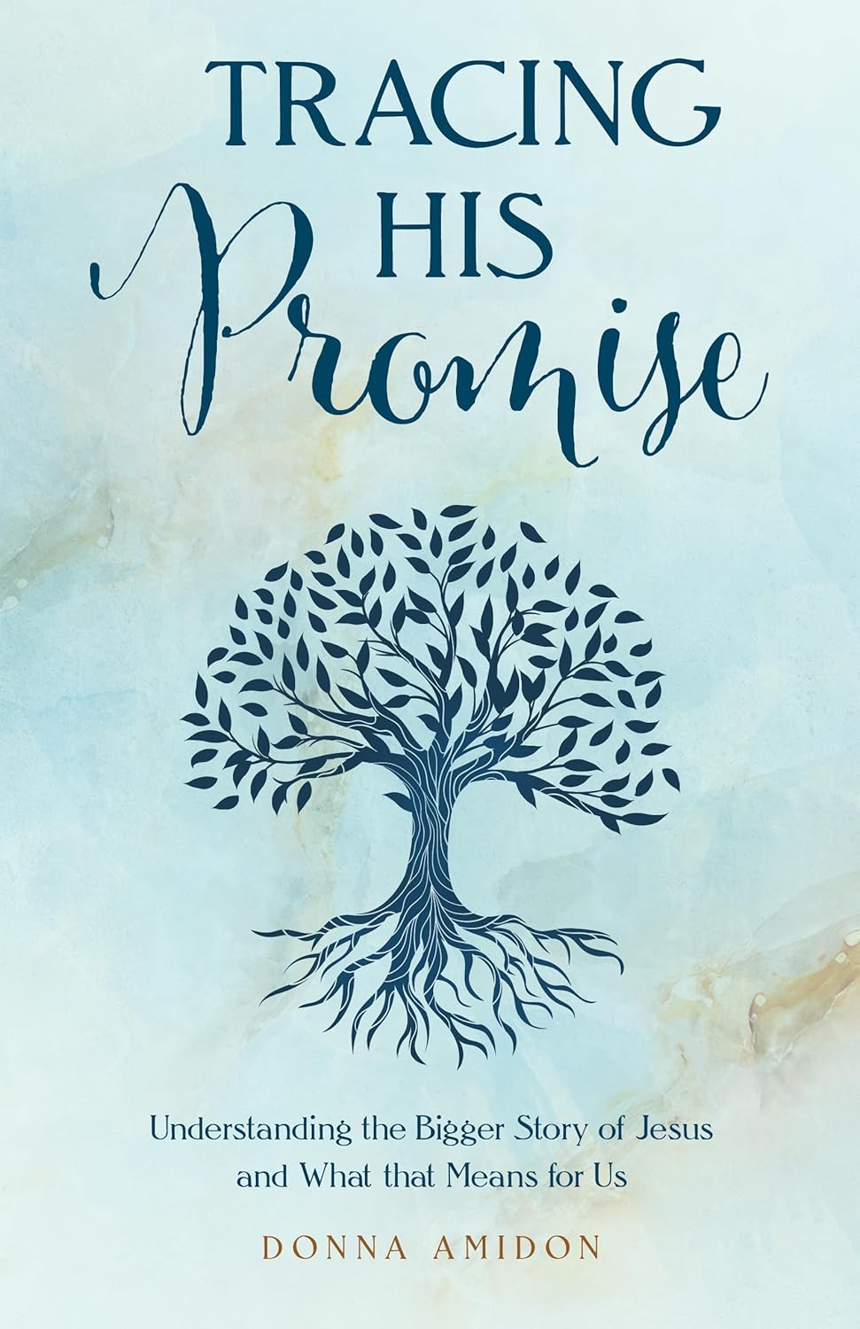 Tracing His Promise: Understanding the Bigger Story of Jesus and What That Means for Us
