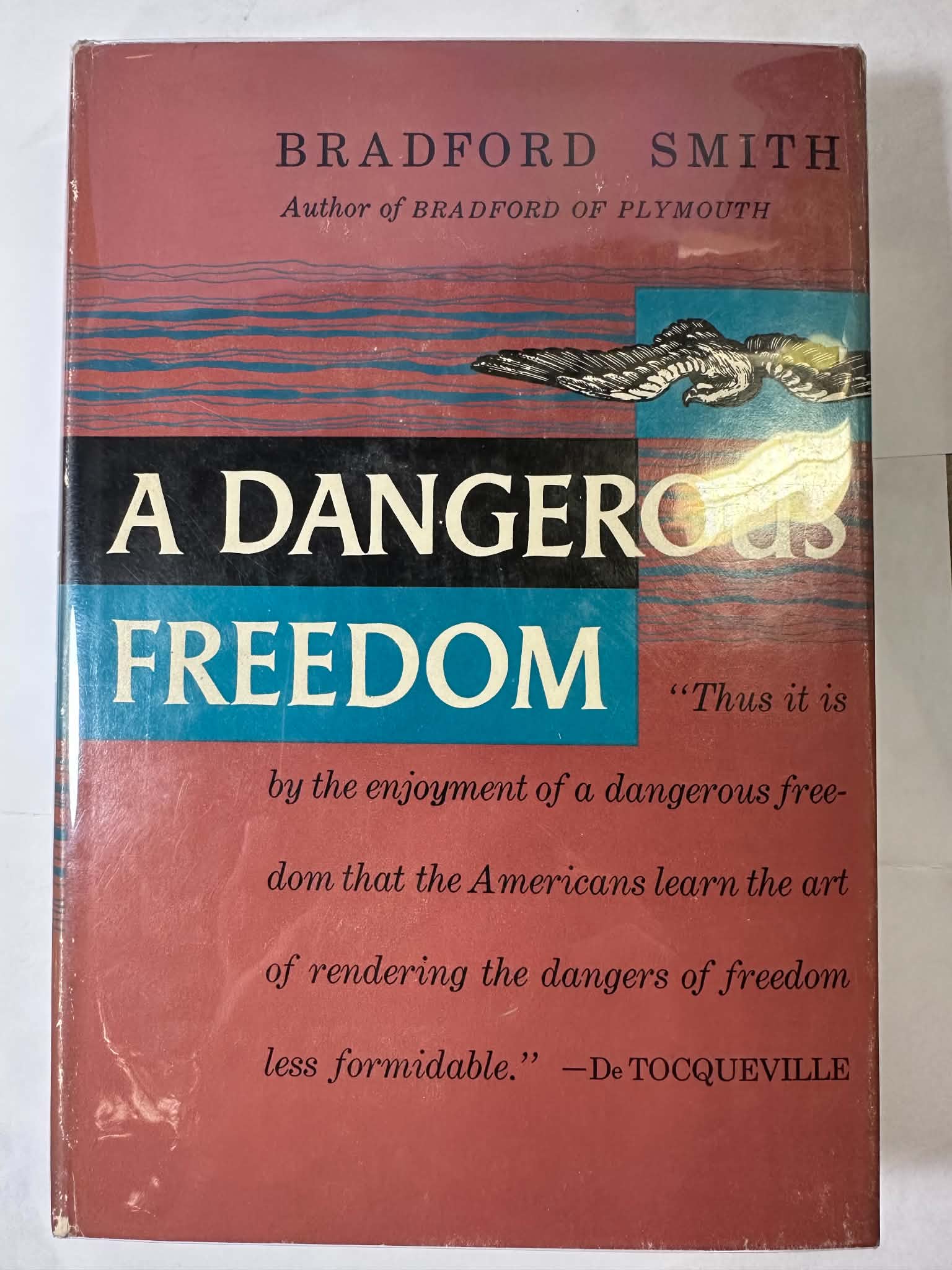 A Dangerous Freedom