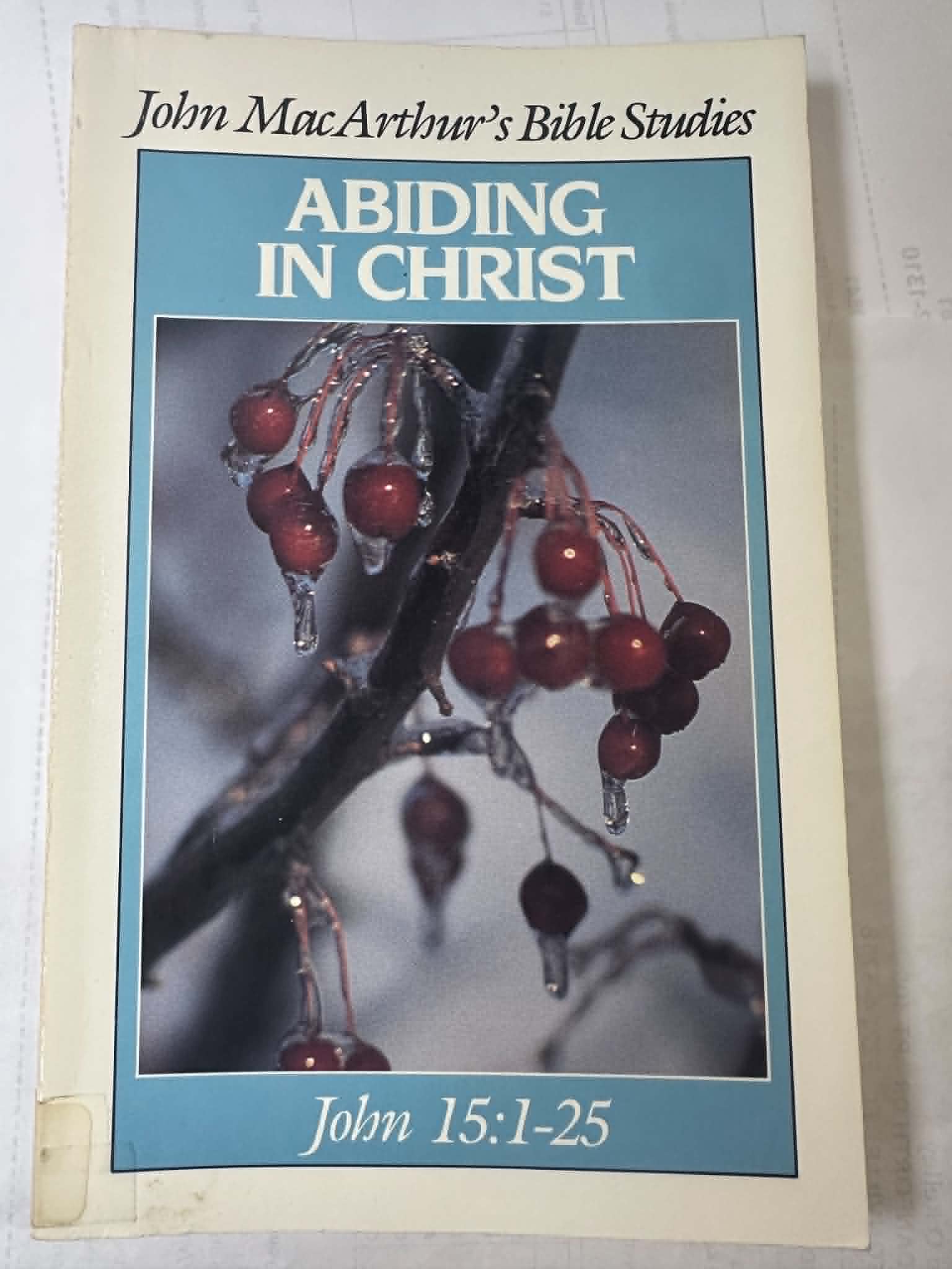 Abiding in Christ (John MacArthur's Bible studies)
