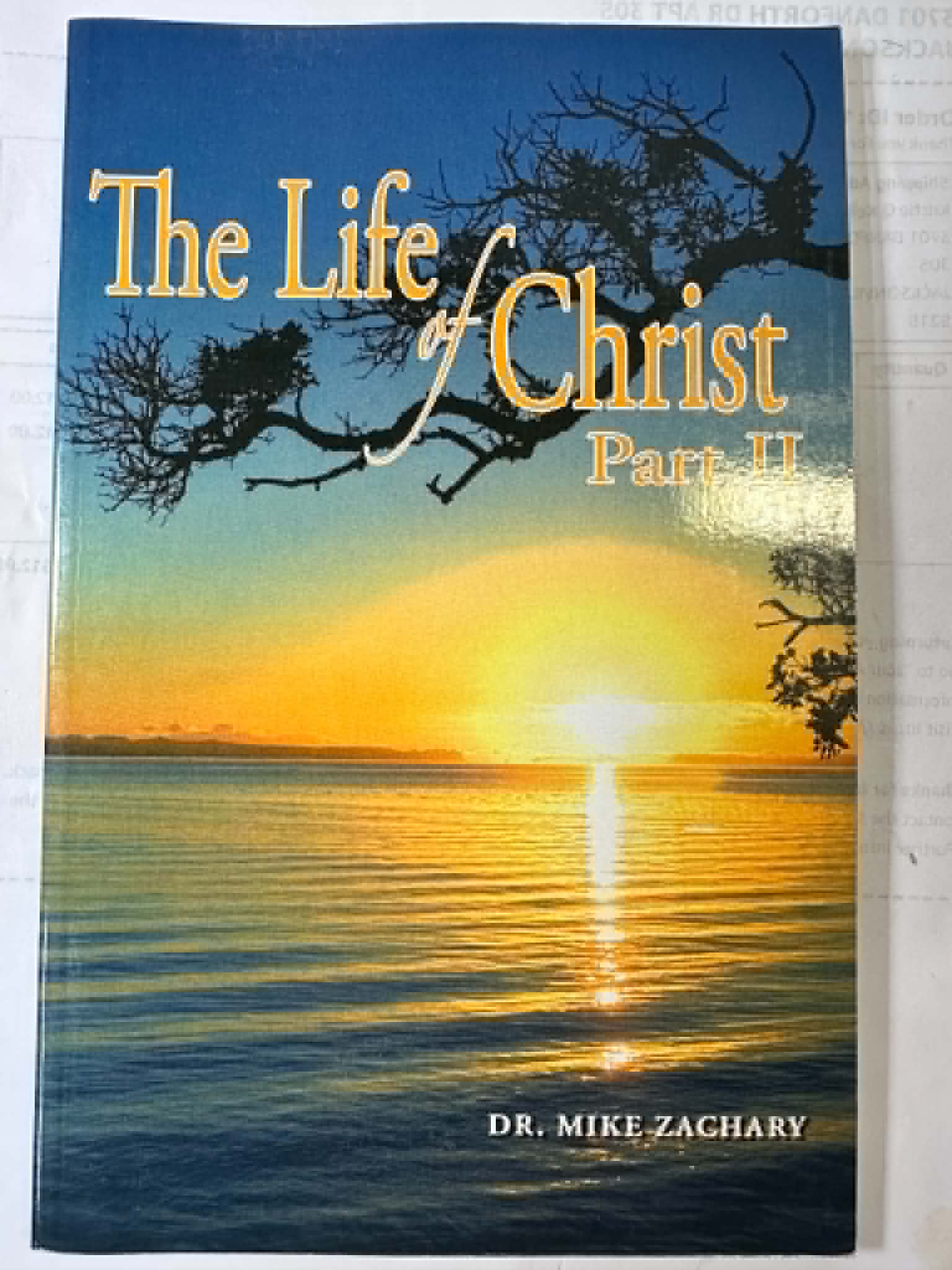 The Life of Christ, Part 2