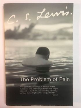 Image for The Problem Of Pain